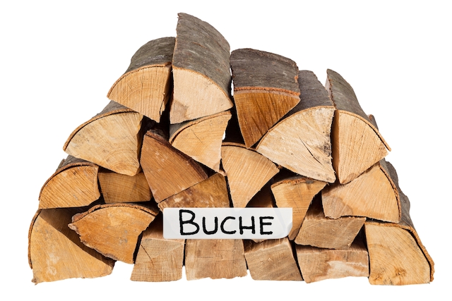 Buche